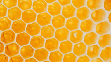 Arı ve arıcılık için altıgen hücreli bal petekleri olan bal arılarını kapatın. Bal peteği üzerinde çalışan arılar. Balmumu, perga polen ve bal. Bal üretimi.