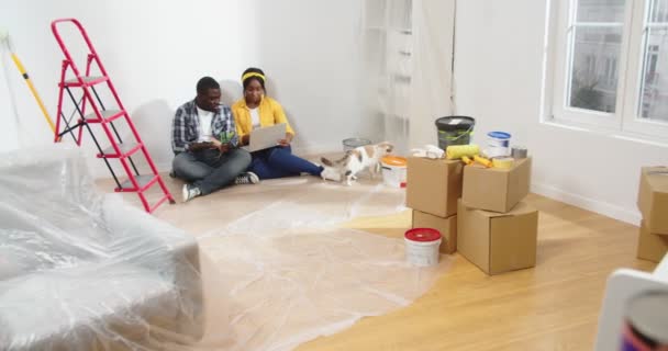 アフリカ系アメリカ人の若い陽気な妻と夫カップルは リノベーション中にかわいい猫と新しいアパートで床に座って ノートパソコンの選択ルームデザインと壁の色でインターネットをサーフィンします — ストック動画