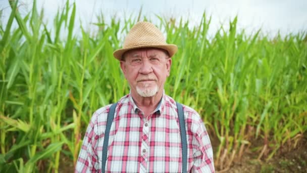 Porträt Des Älteren Bauern Mit Hut Der Inmitten Des Maisfeldes — Stockvideo
