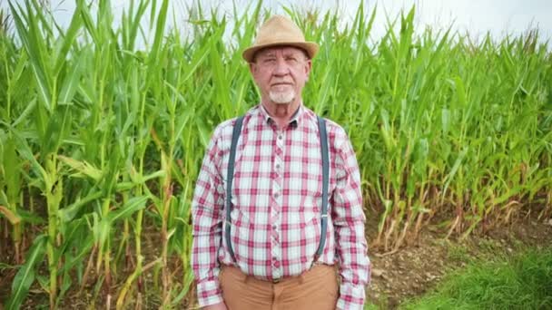 Portrait Serious Caucasian Male Farmer Hat Looking Camera Agricultural Worker — Stock Video