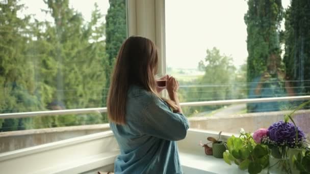 Neşeli Beyaz Güzel Bir Kadının Portresi Evinin Penceresinin Yanında Duruyor — Stok video