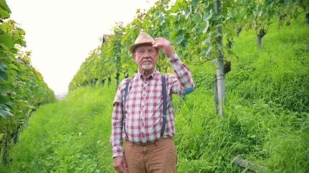 幸せな白人男性農夫の肖像画は ブドウ園のカメラに微笑んでいる ワインメーカーは さらなる高品質のワイン生産のための収穫の結果に満足しています — ストック動画
