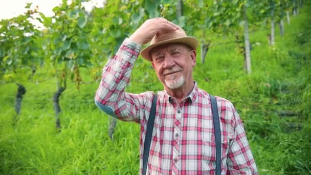 描绘了快乐快乐快乐的高加索成年农民头戴礼帽 微笑着看着葡萄园里的相机 然后摘下他的帽子 靠近点 — 图库视频影像
