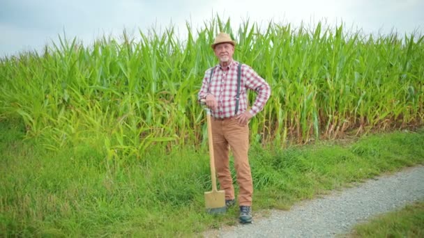 シャベルを持って立ってカメラを見ている深刻な白人男性農夫の肖像画 トウモロコシ畑の前に立っている農業労働者 — ストック動画