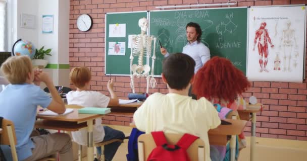 Biały Nauczyciel Inteligentnych Ubraniach Modelem Ludzkiego Szkieletu Wyjaśniającym Części Ciała — Wideo stockowe