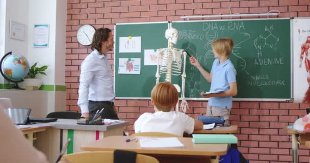 Kafkasyalı Küçük Okul Çocuğu Erkek Biyoloji Anatomi Öğretmenine Insan Iskeleti — Stok video