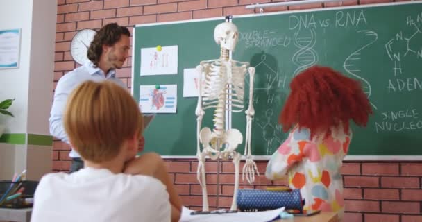 Кавказька Маленька Школярка Підліток Відповідає Модель Людського Скелета Вчительці Біології — стокове відео
