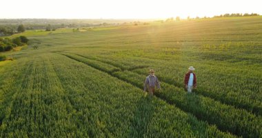 Organik tarım arazisi. Erkek çiftçi işçilerden ikisi tarım alanında yürürken yabani otları temizliyor ve taze sebzeler topluyorlar. Ev yapımı gıda ve organik sebze konsepti