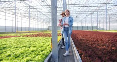 Kafkasyalı tarım uzmanları serada yeşil ve kırmızı marul sıraları boyunca yürüyorlar. İki genç kadın ve pano taşıyan adam modern gelişen teknoloji bitkilerini tartışıyorlar..