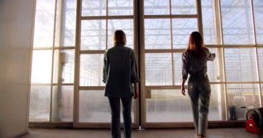 Genç kadınların kapıyı açıp, cam eve girerken arka plan görüntüsü. Kafkasyalı adam forkliftle kutu taşıyor. Hidroponik bitkilerinin yetiştirilmesi ve hasat edilmesi.