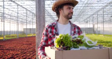 Hasır şapkalı yakışıklı bahçıvan elinde karton kutuyla modern aquaponics serasında toplanan bitkilerle birlikte. İnsan, iş ve tarım kavramı.