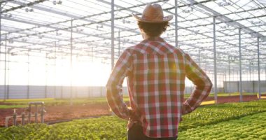 Kafkasyalı genç adam hidroponik çiftlikteki organik tarlaları inceliyor. Giyinik ve şapkalı yakışıklı bir çiftçi yüzünde gülümsemeyle kameraya bakıyor..