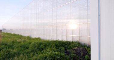 Mavi gökyüzüne ve yeşil çimenlere karşı yeni polikarbonat sera manzarası. Kırsal kesimde hidrofonik sistemli büyük tarım binası var..