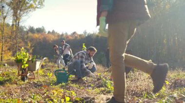 Happy father and child working together and planting seedling of tree in garden or forest on sunny autumn day. Outdoor. Caucasian dad and daughter cooperating for anti deforestation.