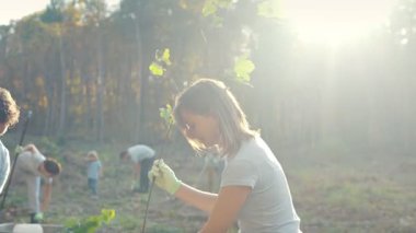 Beyaz bir kadın yürüyor ve elinde ağaç fidelerini toprağa eken koca ve adama taşıyor. Açık havada. Kadın bahçıvanlıkta erkeğe yardım ediyor. Sulama bitkisi. İşbirliği.