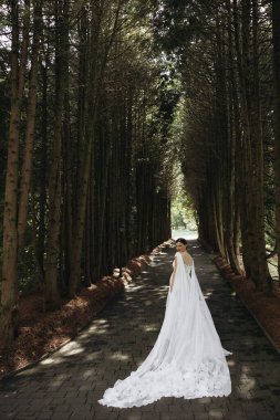 Akan beyaz bir elbise giymiş çarpıcı bir gelin doğadaki sakin, ağaçlı bir yolda zarafetle yürüyor.