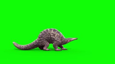 Pangolin Saldırıları Yeşil Ekran Tarafı Döngü 3D Canlandırma 4K