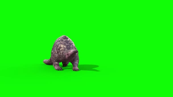 Pangolin Die Grønn Skjerm Front Gjengivende Animasjon – stockvideo