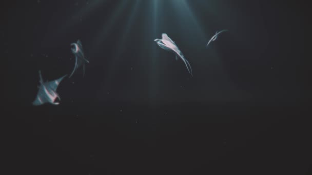 Skupina Manta Ray Swim Ocean Vykreslování Animace — Stock video