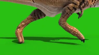 Kızgın T-Rex Runcycle Yeşil Ekran Üç Boyutlu Hazırlama Dinozorları Kapat