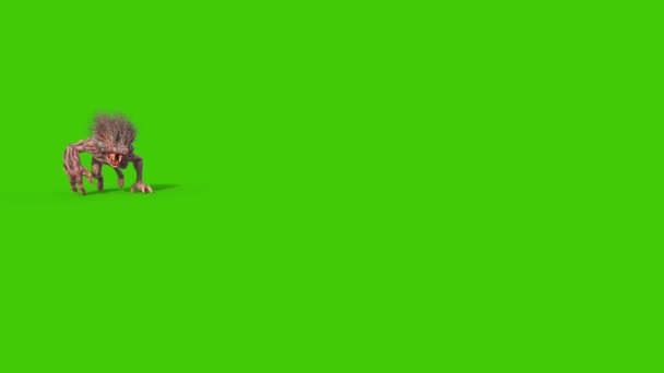 Χαίτη Τέρας Μακριά Κυνόδοντες Περπατά Πράσινη Οθόνη Μπροστά Αποτύπωση Animation — Αρχείο Βίντεο