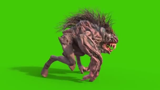 Mane Monster Long Fangs Walkcycle Grønn Screen Loop Gjengivende Animasjon – stockvideo