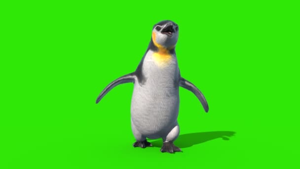 Pinguim Rápido Walkcycle Verde Tela Loop Frente Renderização Animação — Vídeo de Stock
