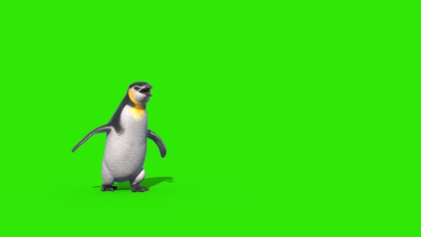 Penguin Fast Walks Grønn Skjerm Front Gjengivende Animasjon – stockvideo