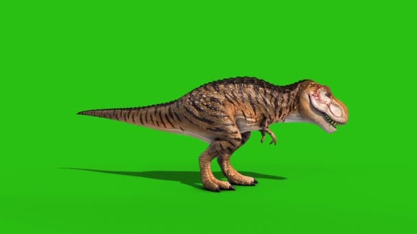 Rozzlobený Rex Nečinné Zelené Obrazovky Boční Smyčka Vykreslování Animace Dinosauři — Stock video
