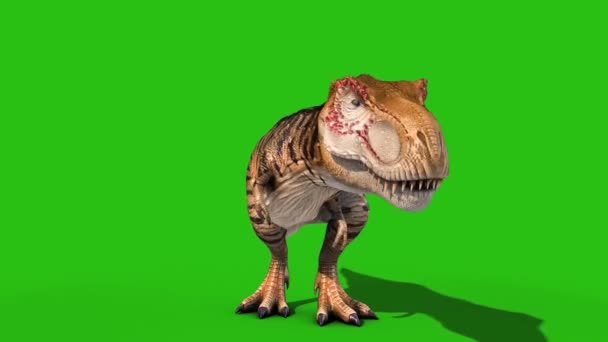 Angry Rex Rugir Verde Pantalla Frontal Loop Renderizado Dinosaurios Animación — Vídeo de stock
