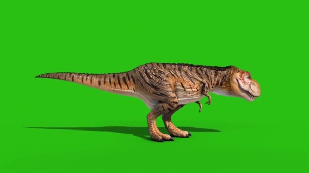 Angry Rex Brøl Grønn Screen Side Loop Gjengivende Animasjon Dinosaurer – stockvideo