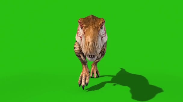 Angry Rex Runcycle Grønn Screen Front Loop Gjengivende Animasjon Dinosaurer – stockvideo