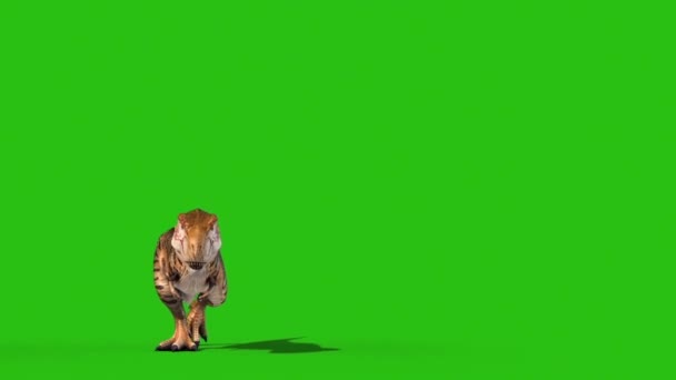 Boze Rex Loopt Groen Scherm Voorzijde Weergave Animatie Dinosaurussen — Stockvideo