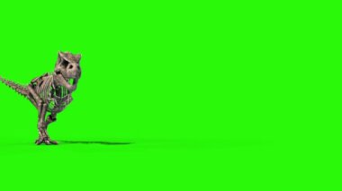 TRex İskelet Yürüyüşü Jurassic World 3D Rending Green Screen