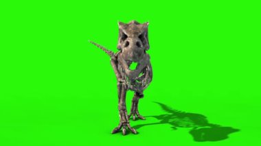 TRex İskelet Yürüyüşü Sabit Önde Jurasik Dünya 3D Görüntüleme Yeşil Ekran