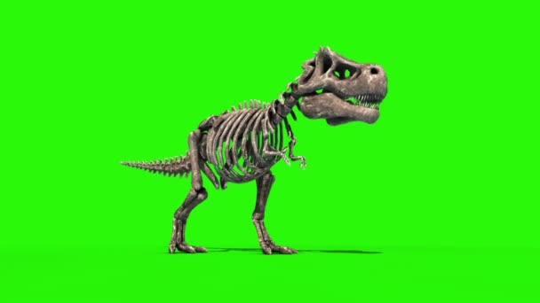 Trex Skeleton Die Front Jurassic World Rendering Green Screen – stockvideo