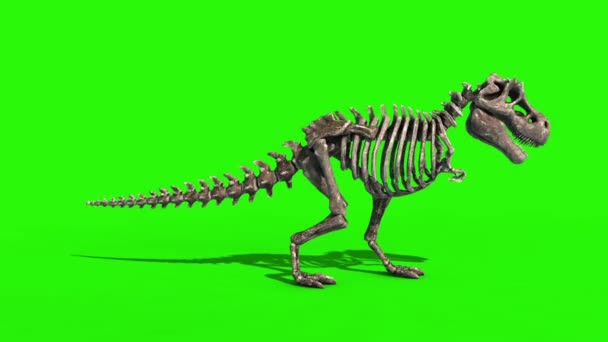 Trex Skeleton Angrep Side Jurassic World Rendering Green Screen – stockvideo