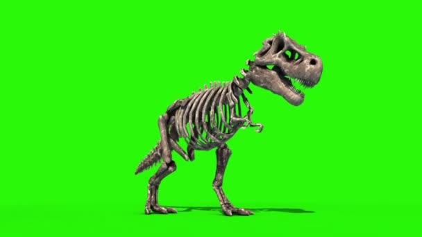 Trex Skeleton Angrep Front Jurassic World Rendering Green Screen – stockvideo