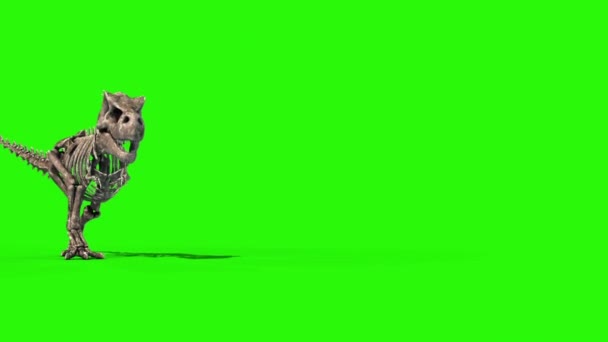 Trex スケルトン ウォーク ジュラシック ワールド レンダリング グリーン スクリーン — ストック動画