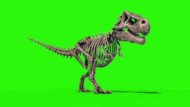 Trex Skeleton Walk Static Jurassic World Rendering Green Screen — стоковое видео