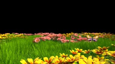 Çok Renkli Kelebekli Çiçek Çayırı Alpha Matte 3B Canlandırma 4K