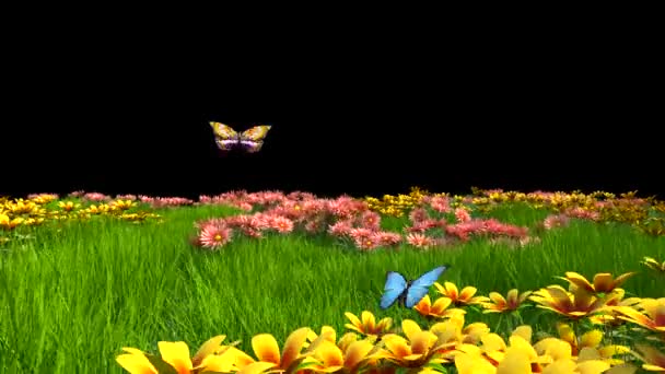 Prado Florido Com Borboletas Azuis Multicoloridas Alpha Matte Animação Renderização — Vídeo de Stock