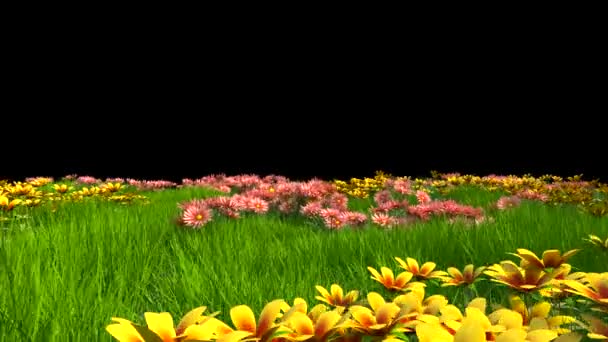 Flowery Meadow Alpha Matte Animation Rendering — Stock Video