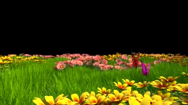 Blommig Äng Med Fuchsia Och Apelsinfjärilar Alpha Matt Animation Rendering — Stockvideo