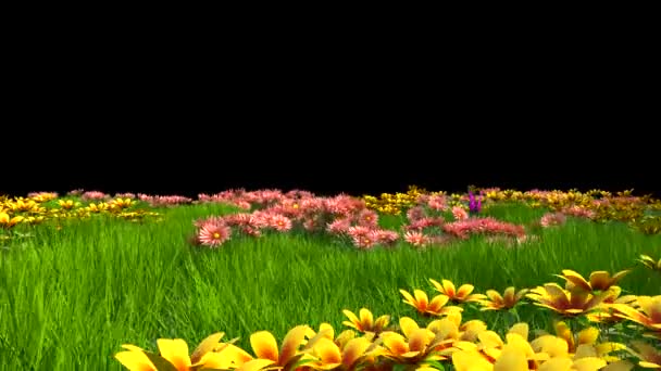 푸치아 나비와 애니메이션 렌더링 — 비디오