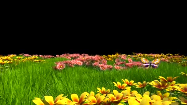 Prairie Fleurie Avec Papillons Multicolores Alpha Matte Animation Rendu — Video
