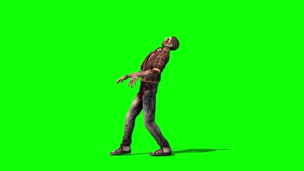 Zombie Caminando Pantalla Verde Representación Animación Horror — Vídeos de Stock