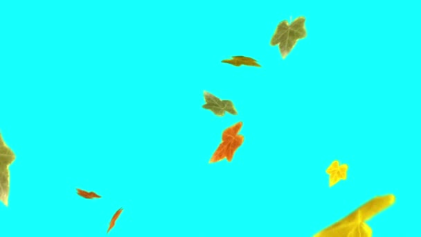 Autunno Lascia Schermo Blu Volante Rendeings Animazioni Natura — Video Stock