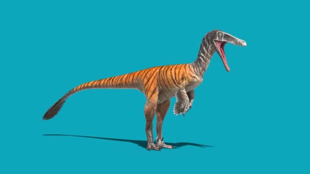 Dinosauri Del Ciclo Dello Schermo Blu Mangiano Animazione Rendering Dell — Video Stock