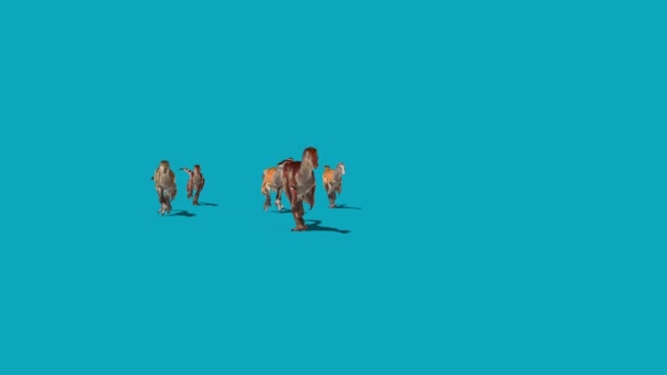 Ryhmä Austroraptors Toimii Blue Screen Front Dinosaurs Rendering Animaatio — kuvapankkivideo